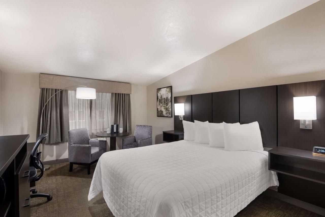 Best Western New Oregon Motel Eugene Exteriér fotografie